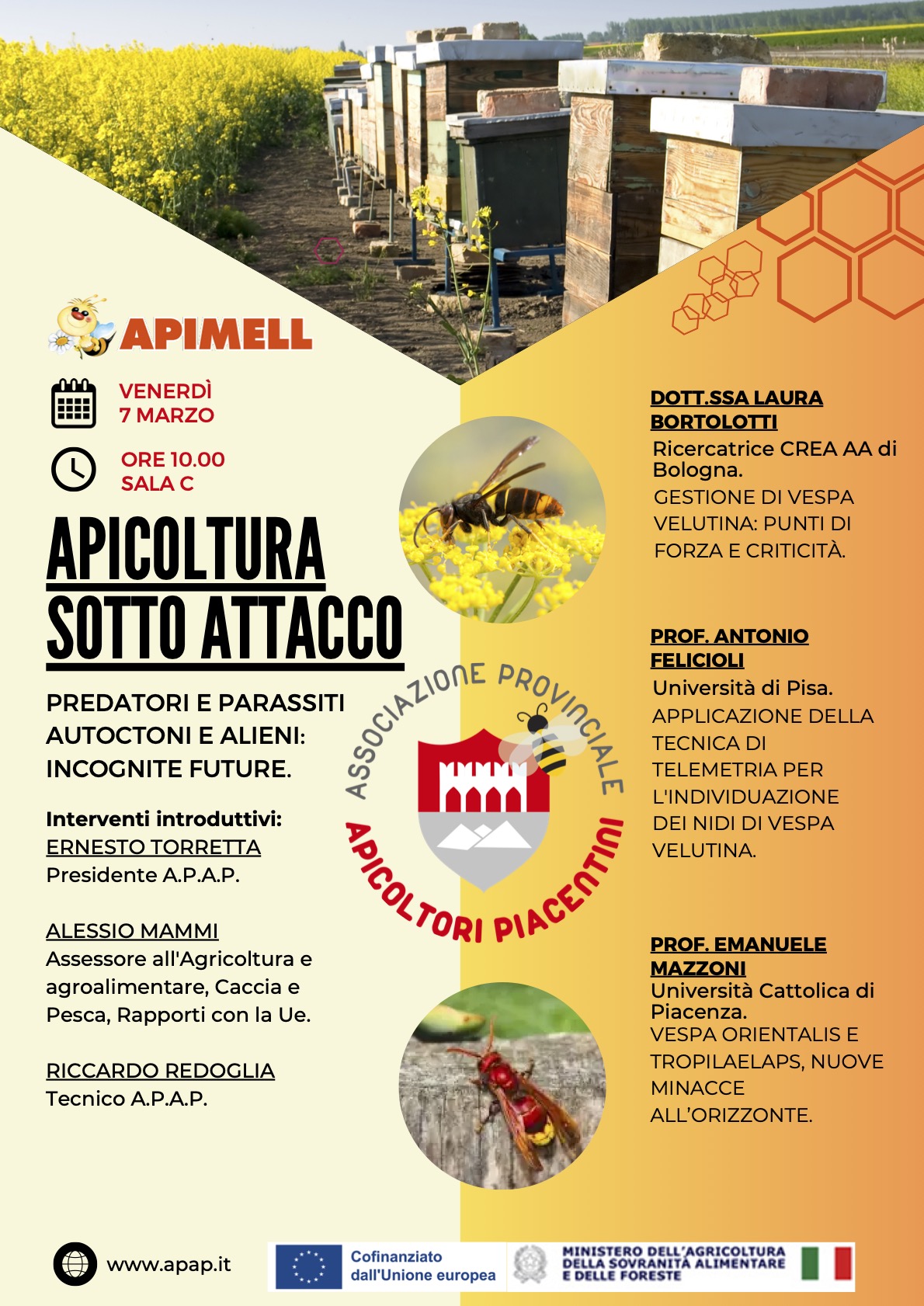 Banner apicoltura sotto attacco